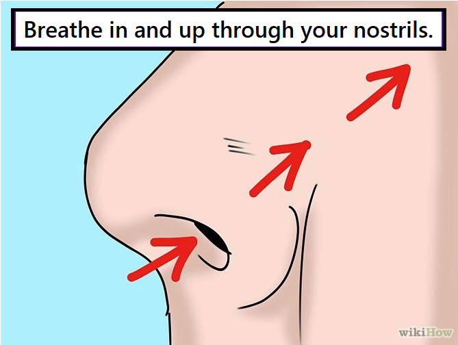 Breathing with your Base-Line muscles. Image of face with arrows going up into the nostrils. Breathe in through your nostrils, feel your whole body extend. Breathe out through your mouth. Repeat.